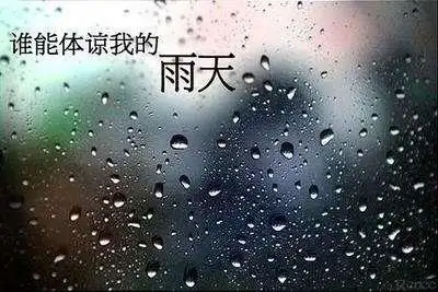 谁能体谅我的雨天