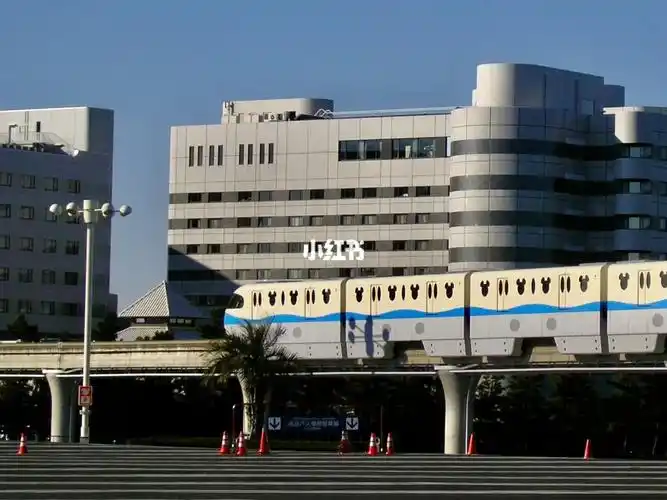 整理老照片丨2010年的东京迪士尼