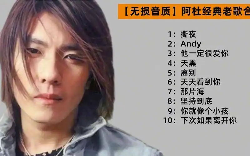 【无损音质】阿杜经典歌曲合集,烟嗓界的天花板唱歌界的车底战神
