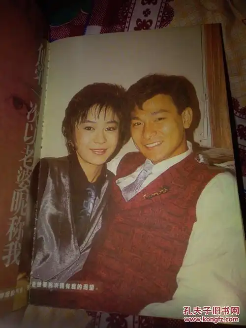 情海星空:我与刘德华