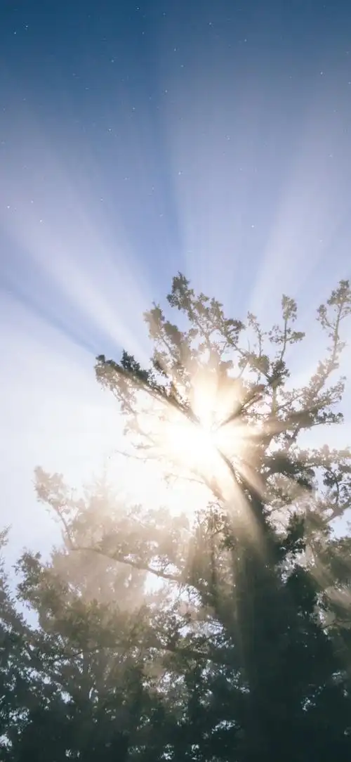 4k摄影写真壁纸原图220729期