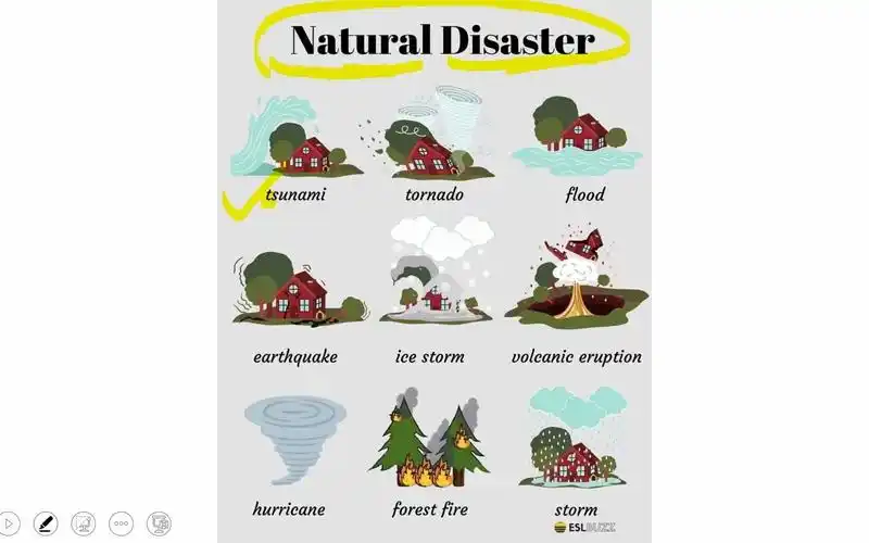 【词汇辨析35---自然灾害】natural disaster 英语词汇辨析 易错词汇