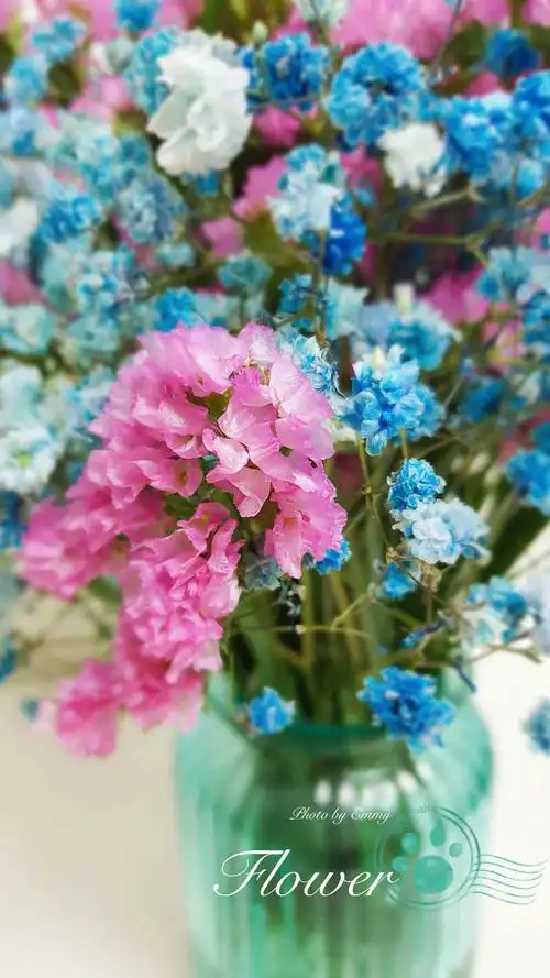 小清新粉色好看的勿忘我手机壁纸