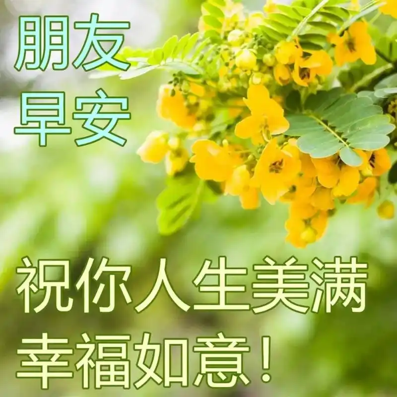 早上好!祝福你有一个美好的一天. 3.