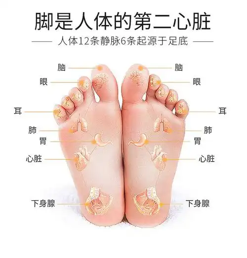 vess 脚部放松按摩轮 bre-1200