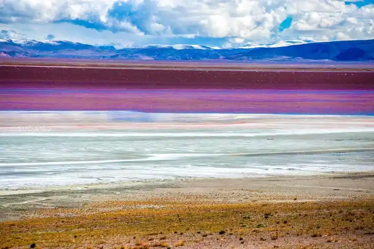 羌塘无人区的罕见风光:扎布耶茶卡,西藏唯一的粉红色湖泊_盐湖