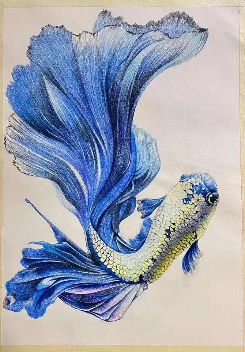 本溪探店 彩铅手绘.#跟我一起学画画 #请给手艺人一个关注 - 抖音