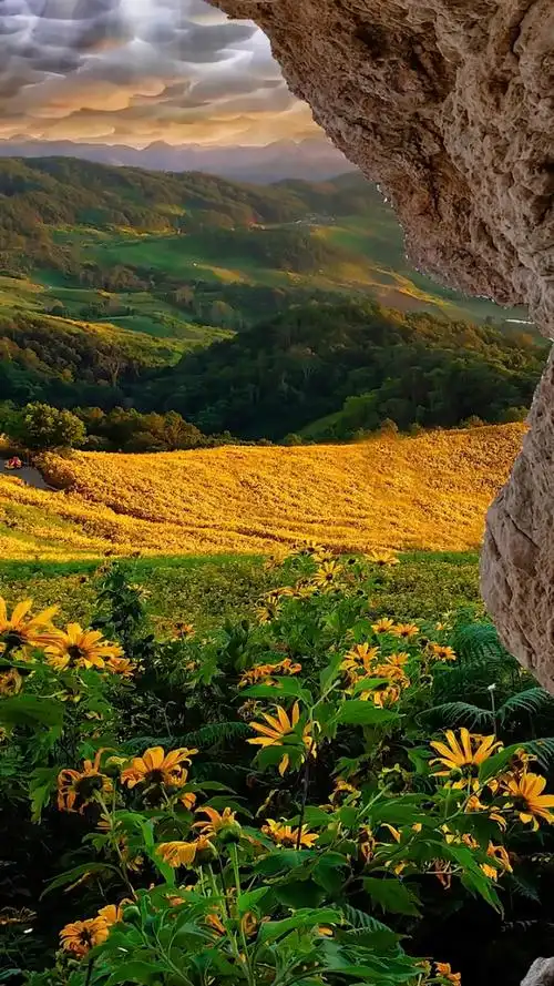 去邂逅最美的风景,去感受每一缕清风.早安!