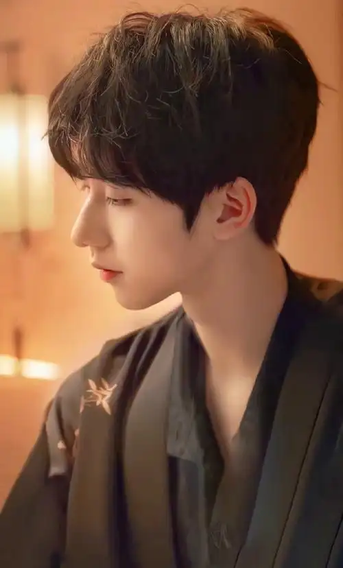 贺峻霖 画报颜值