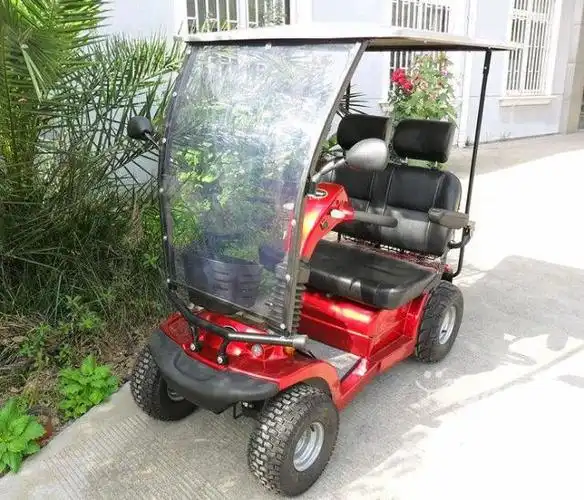 威之群双人座电动代步车厂家正品