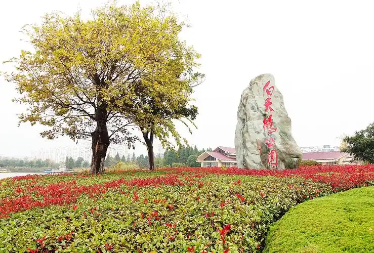 p>白天鹅公园在 a target="_blank" href="/item/阜宁/871643" data