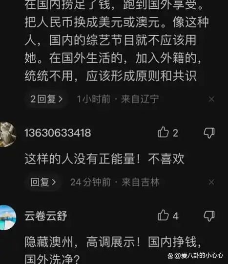 田震回归引争议国内赚钱澳洲花或将成为下一个蒋大为