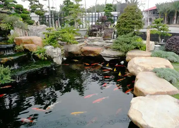 环球体育app最新版下载