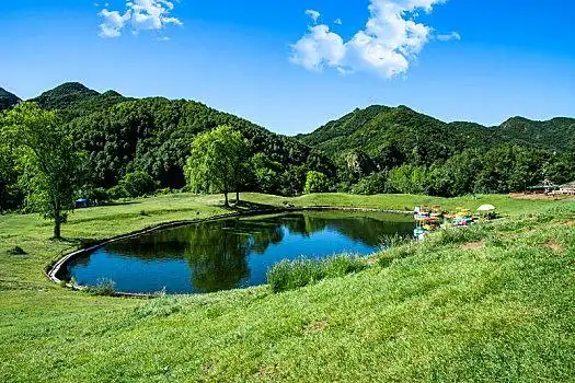 玉渡山,高山草甸,草地