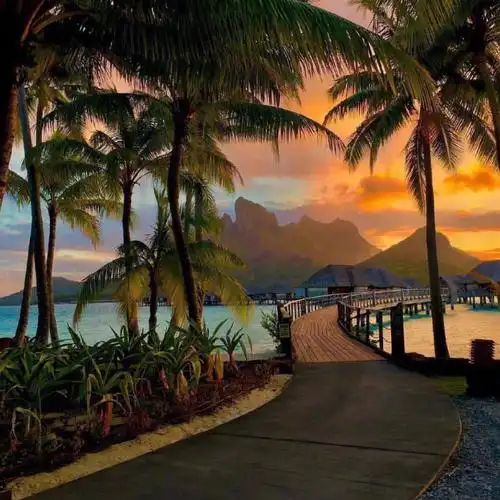 椰岛栈桥黄昏景色头像