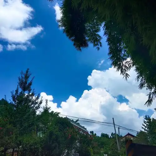 风景照天空照人像照花朵照生活照一应俱全混图杂图大全