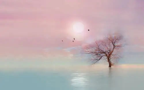 qq风尚唯美背景,高清图片,电脑桌面-壁纸族