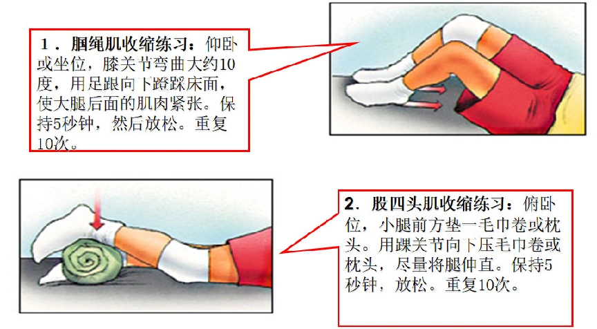 膝关节前交叉韧带损伤术后康复