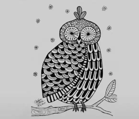 光谷五小空中课堂之四"动物黑白装饰画"