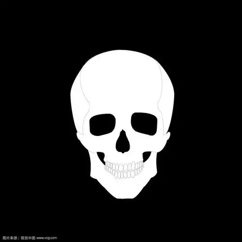 黑色背景上的白色骷髅