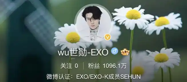 韩国艺人微博粉丝数##韩国艺人微博粉丝数排名##年年