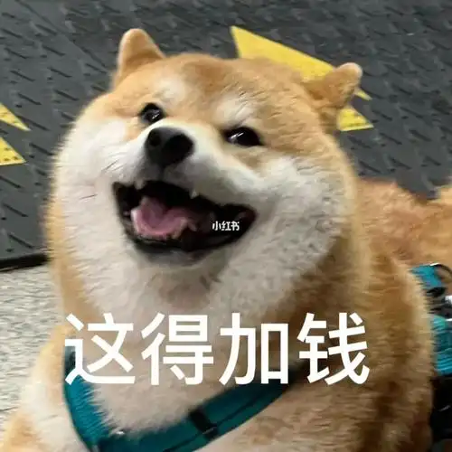 新表情get73你的要求都可以满足但是得加钱