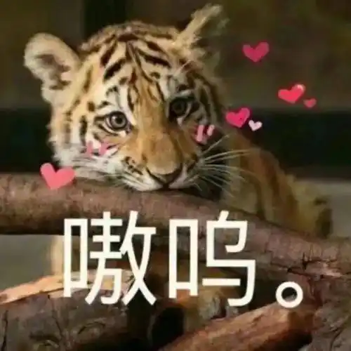 超搞笑沙雕的表情包