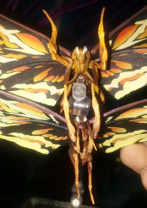 shm魔斯拉正版祖国版对比上面为正版下面为祖国版