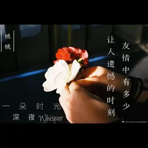 友情中有多少让人遗憾的时刻