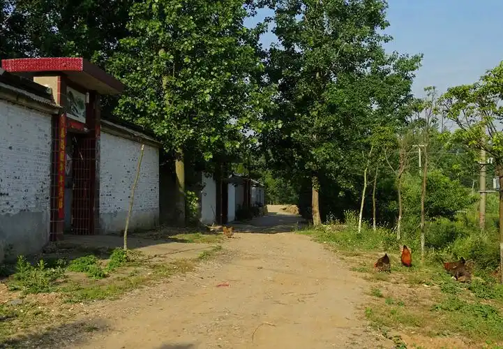 乡村即景 - 扬州地区的普通农村 (共 21 p)