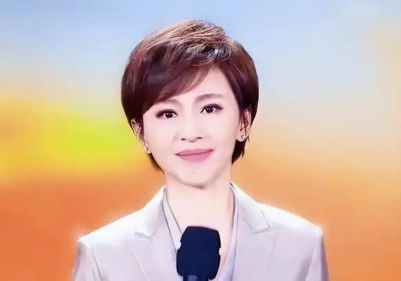 名单,10余人退出,包括张蕾,海霞,欧阳夏丹等|董卿|记者|央视主持人