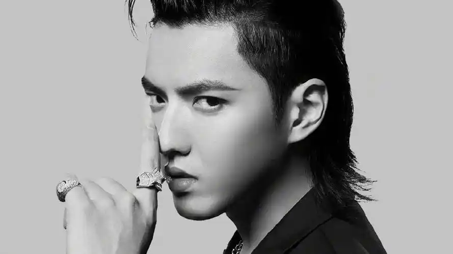 明星风尚 吴亦凡壁纸