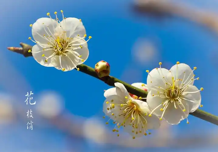 刀字型房间风水化解方法有哪些_周公在线