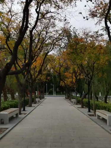 好听歌 费玉清的巜黄叶舞秋风》