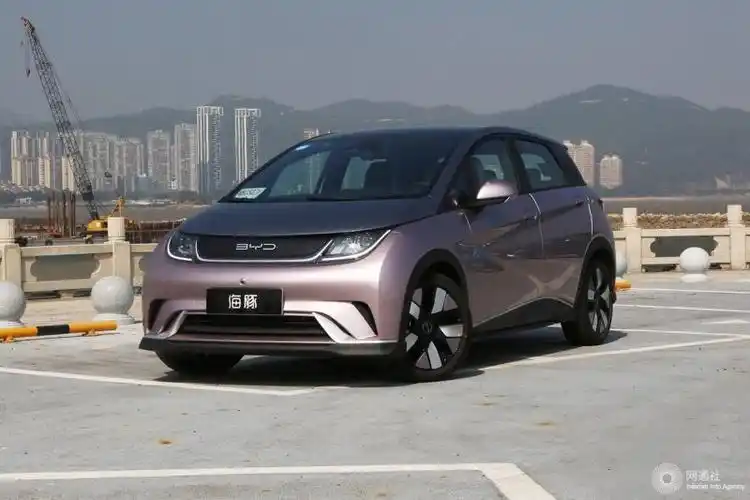 这四款纯电动车不可错过|海豚|aion-今日贵州-汽车频道