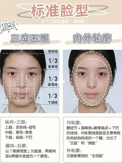 零基础学化妆:新手干货 一张图了解脸型判断