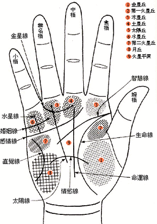 图解手相术 - mychat 数位男女 手面相