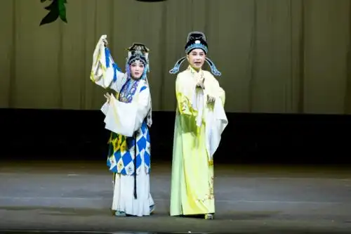 艺动青春优秀青年锡剧演员折子戏高清视频抢先看庵堂认母王子瑜蔡瑜