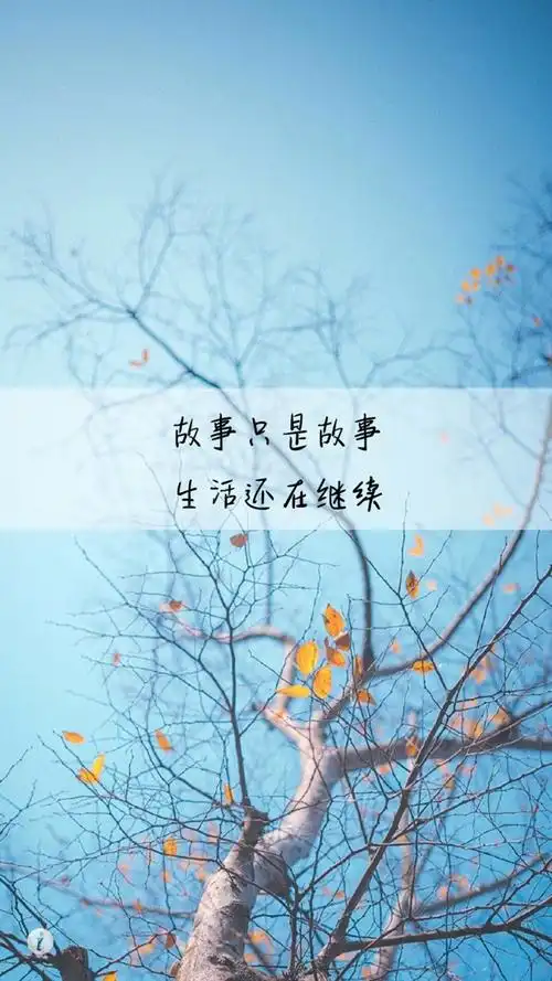 唯美文字语录图片手机壁纸