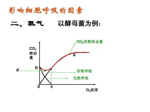 量 以酵母菌为例: 以酵母菌为例: co2的释放总量   d b 有氧呼吸 无氧