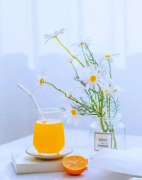 适合发的优质句子唯美舒心令人着迷