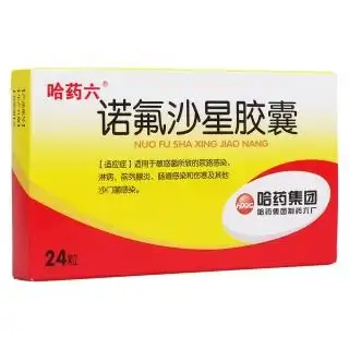 诺氟沙星胶囊(哈药六)