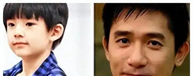 时间线实锤梁朝伟连夜认亲董洁停工陪儿子两人关系瞒不住了