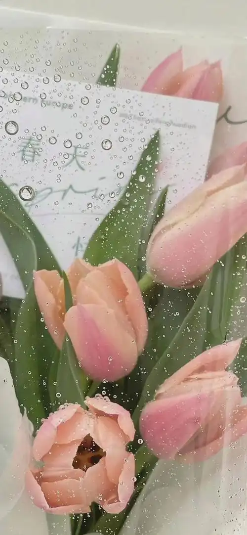 鲜花壁纸,颜色绚丽多彩,无瑕的美丽展现在我们眼前