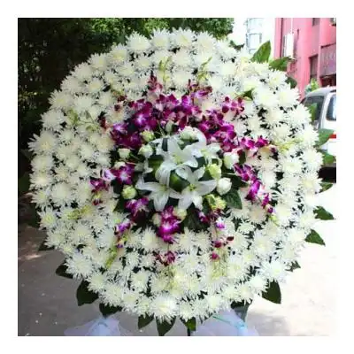 鹤唳——玖玖花圈玖玖花圈