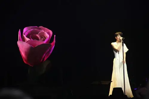 2010 — 2011 王菲演唱会 - 堆糖,美图壁纸兴趣社区