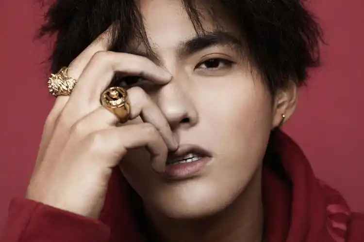 吴亦凡两关联公司欠税400余万