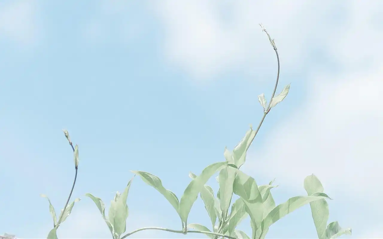 自然小清新风景图片桌面壁纸 第二辑