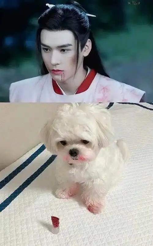 回应: 天 龚俊饰演的温客行好美啊温客行 温大美人 更新坠.