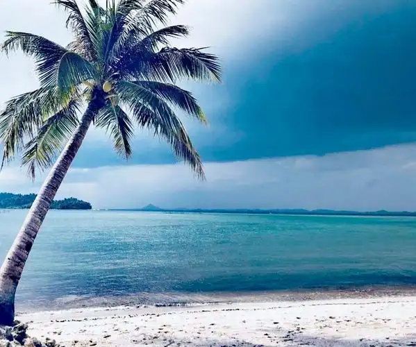 找到一处安静的海滩,开始各种美拍